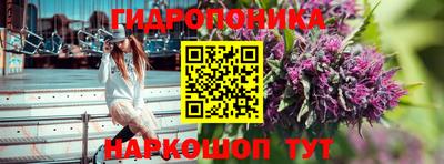 СК Краснодар